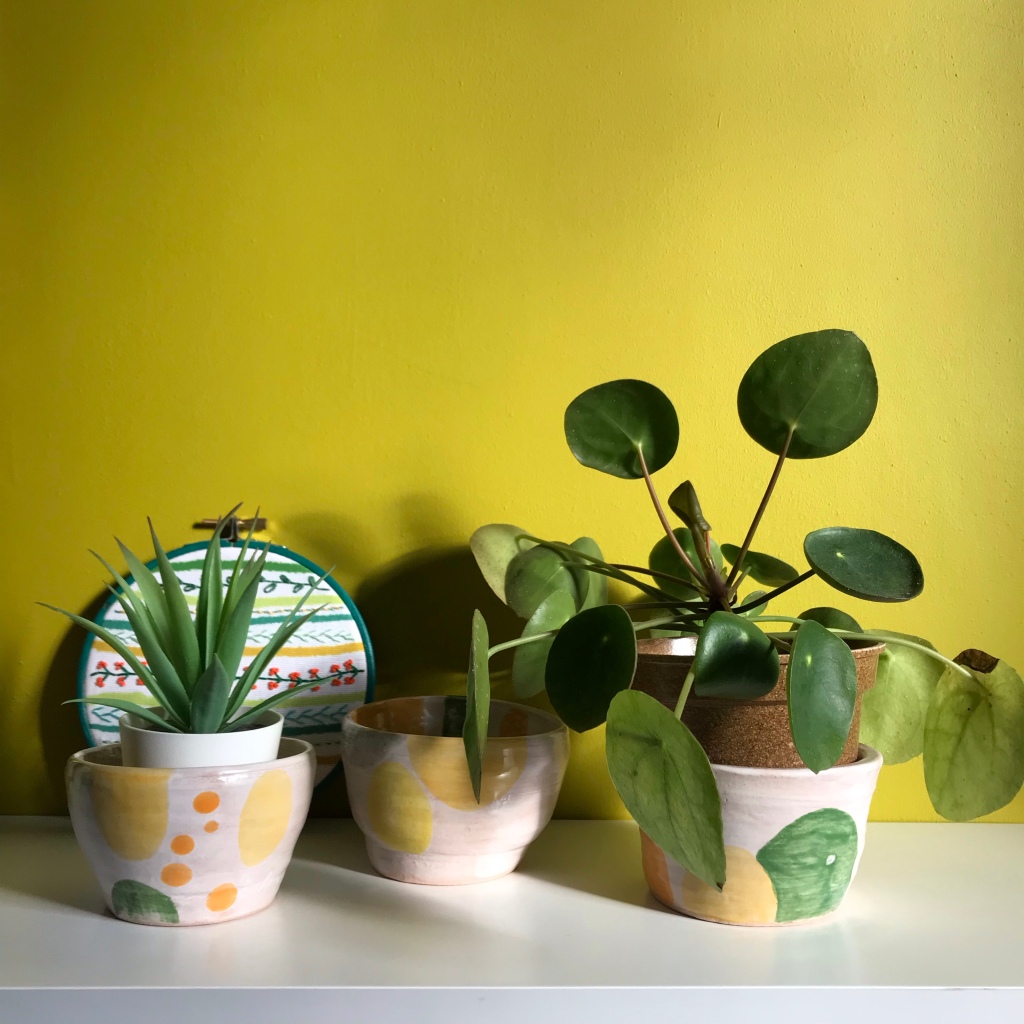 Three ceramic pots in shades of white yellow and green, against a yellow green wall with plants in two pots.